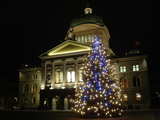 Christmas tree at the parliament building...