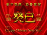 china new-year  