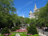 New-York City Hall Park...
