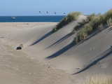 Dunes and the Pacific Ocean...