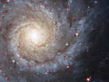 Spiral Galaxy M74...