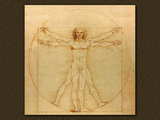 The Vitruvian man by Leonardo da Vinci...